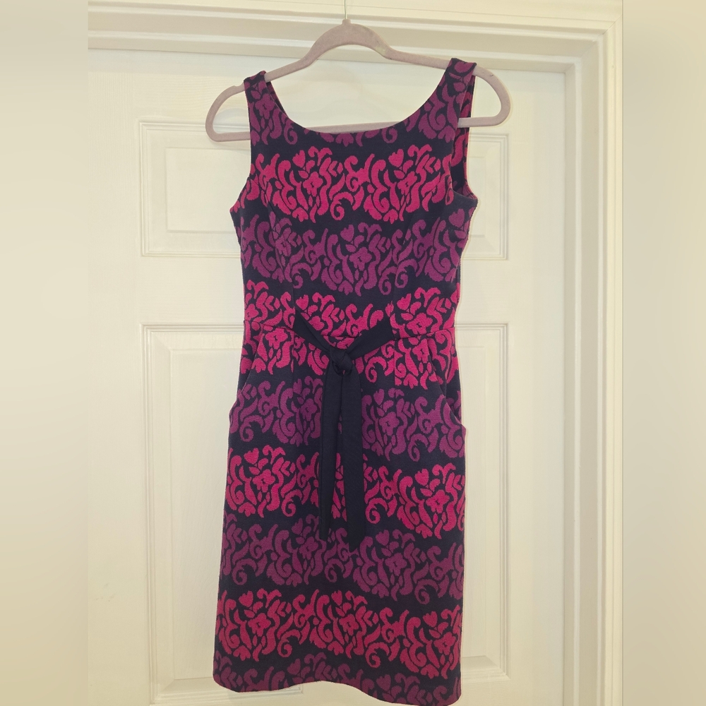 Lilly Pulitzer Pink and Navy Evie Dress